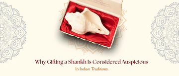 Shankh Gift Guide 2026: Meaning, Benefits & Best Types for Home