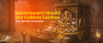 Dakshinavarti Shankh and Goddess Lakshmi: The Sacred Connection