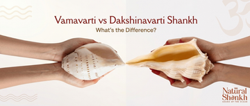 Vamavarti vs Dakshinavarti Shankh