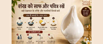 शंख को साफ और पवित्र कैसे रखें? देखभाल के सही तरीके और भूलें नहीं ये गलतियाँ