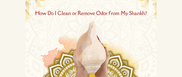 How Do I Clean or Remove Odor from My Shankh?