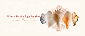 Which shankh is Right for You? A Guide Based on Purpose & Energy