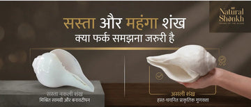 सस्ता और महंगा शंख में क्या फर्क है?