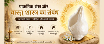 प्राकृतिक शंख और वास्तु शास्त्र का संबंध: जानें सही नियम, सही दिशा और असली फायदे