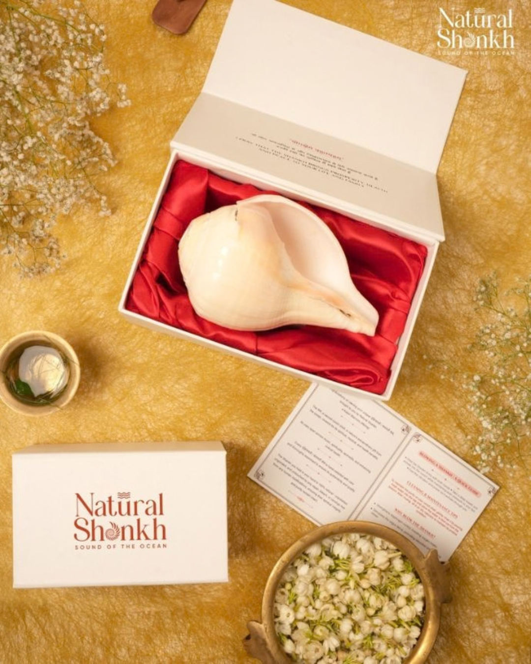 Natural Padam Shankh - Medium Sizes (Loud and Soothing Sound)