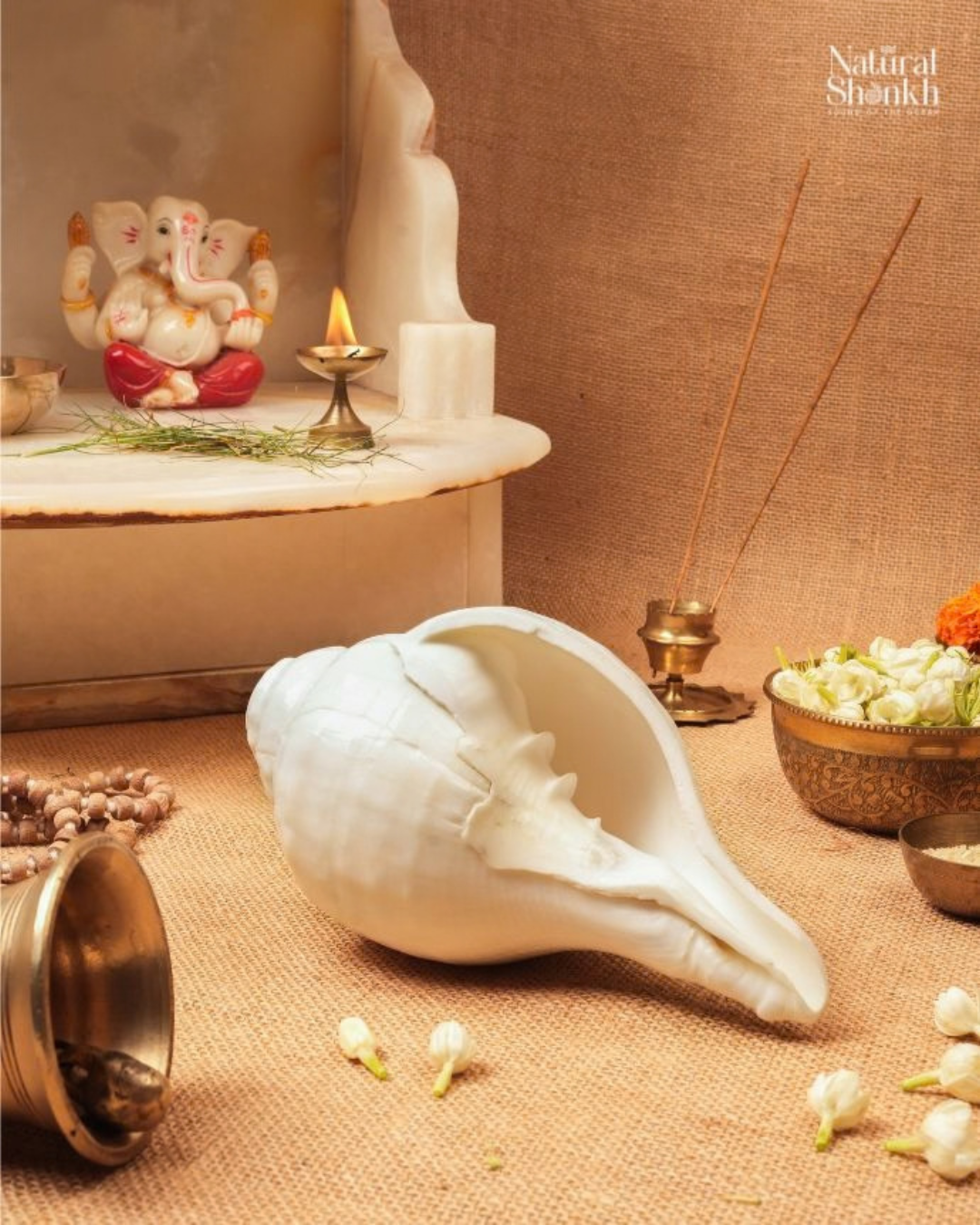 Vishnu Shankh (Natural White) - Small Sizes (Sharp and Loud Sound)