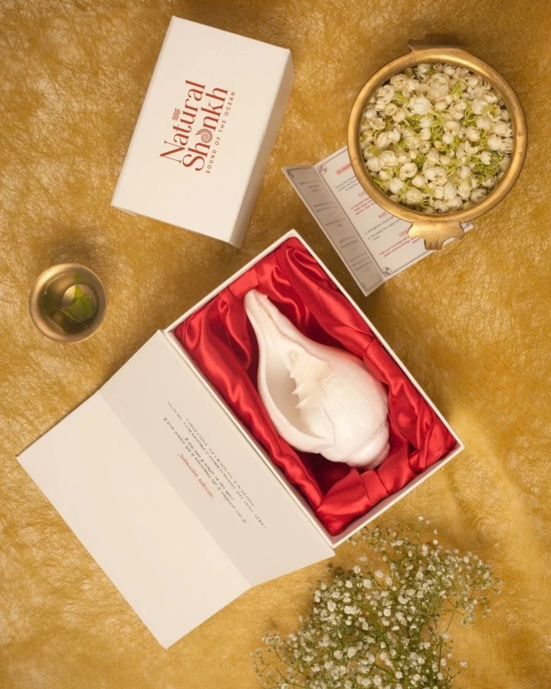 Vishnu Shankh (Natural White) - Small Sizes (Sharp and Loud Sound)