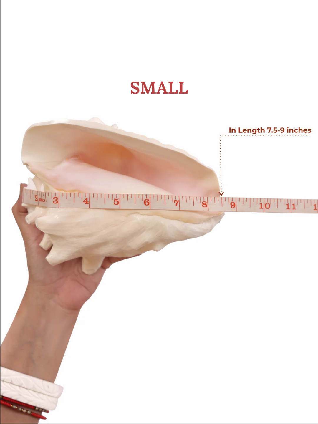 Annapurna Pink Conch - Small Size (Loud and Sharp Sound)
