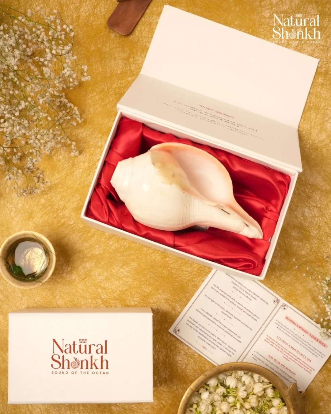 Vishnu Shankh (Natural Peach) - Small Sizes (Sharp and Loud Sound)