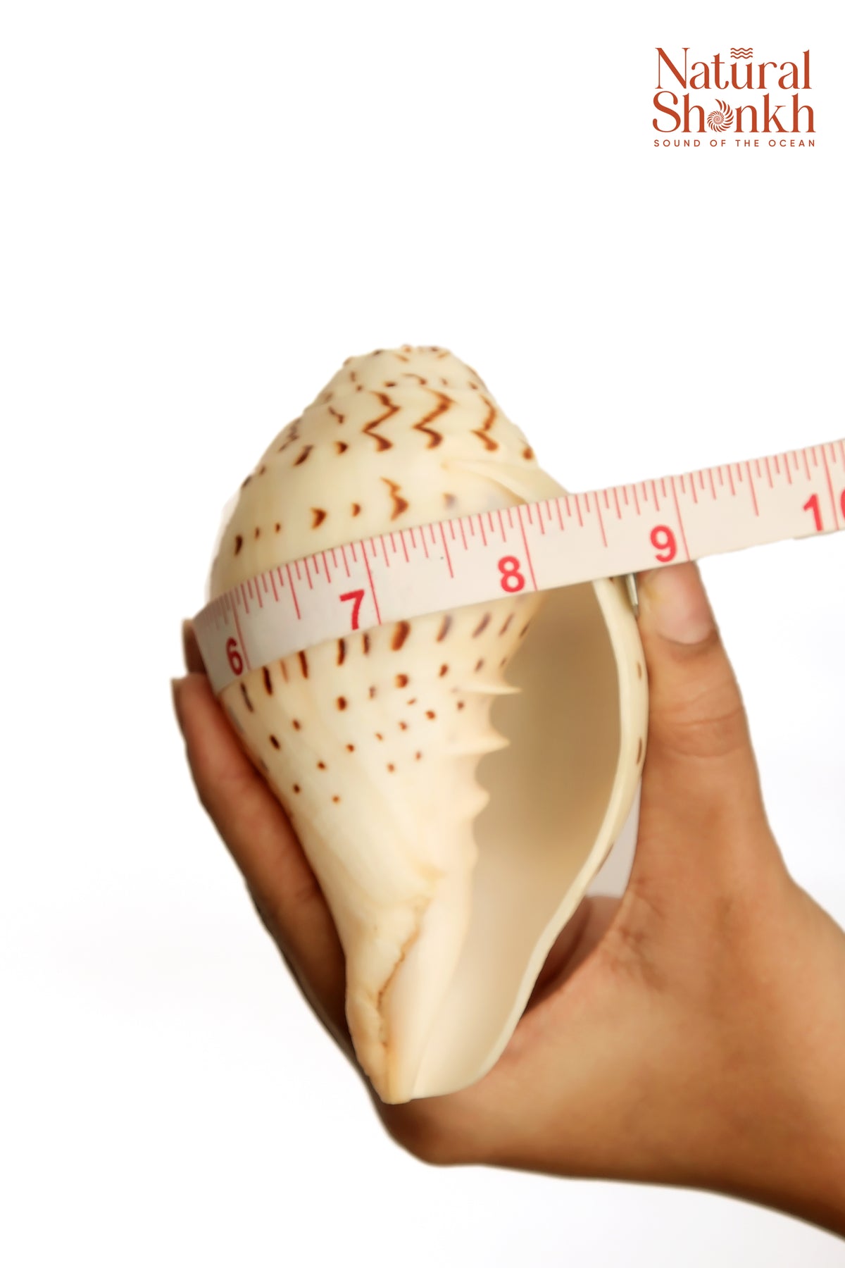 Gauri Shankh - Small Sizes