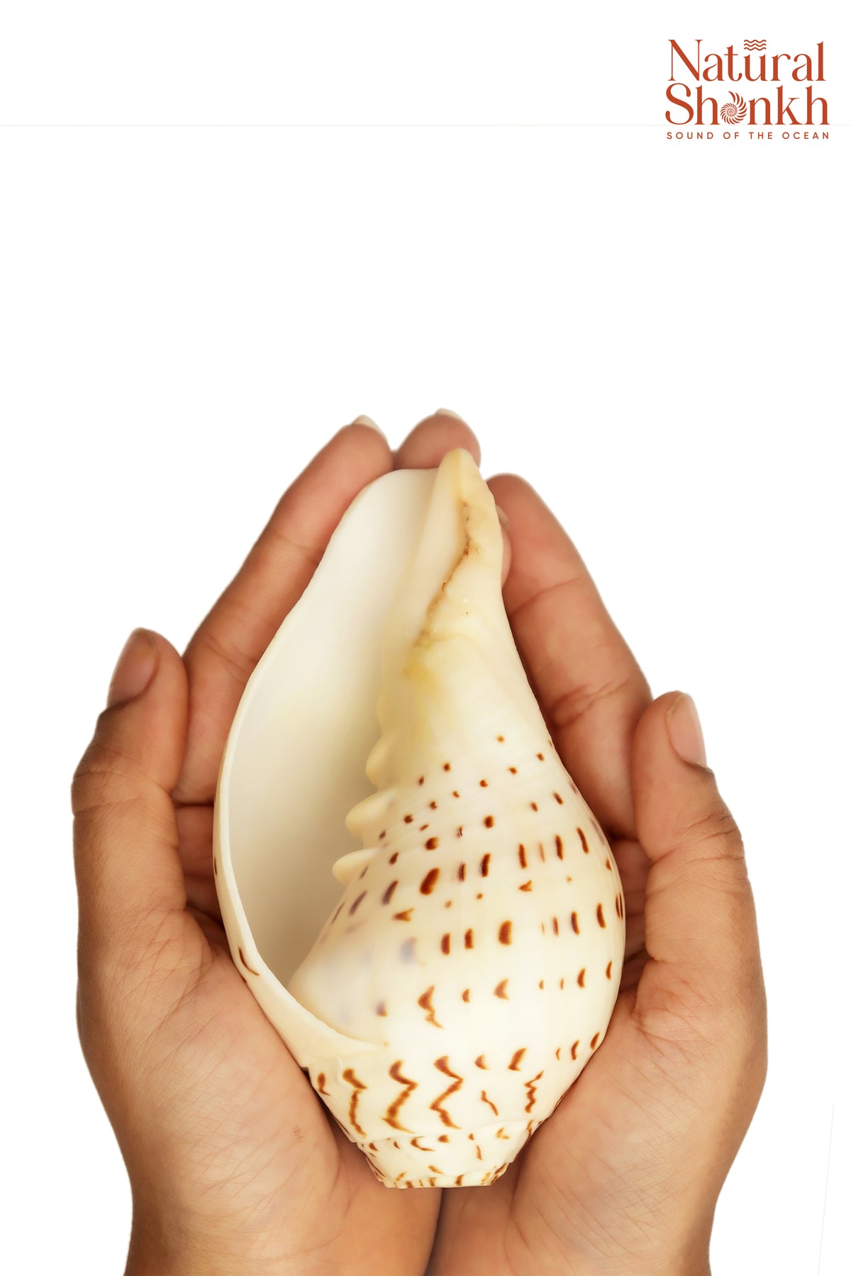Gauri Shankh - Small Sizes