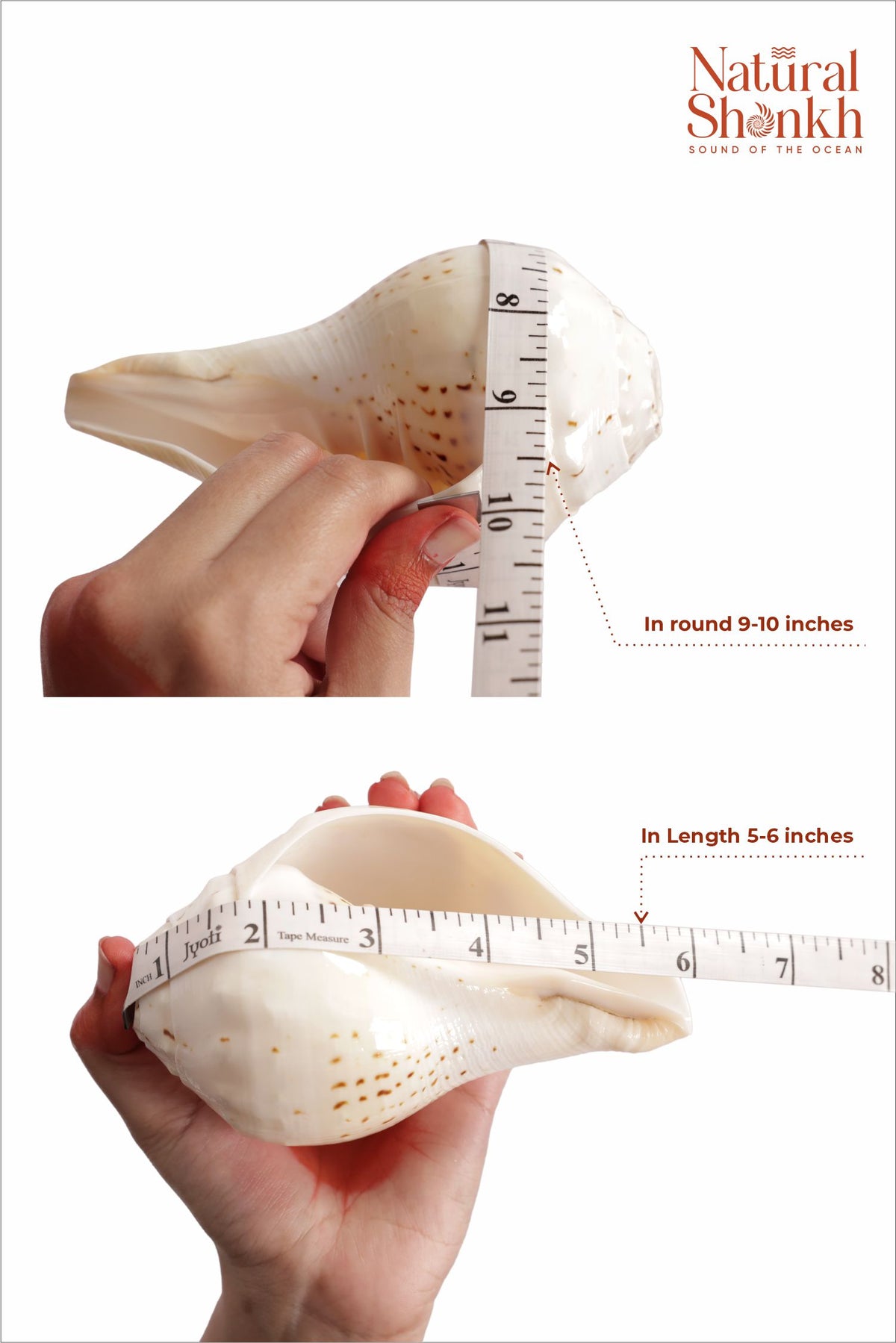 Gauri Shankh - Small Sizes
