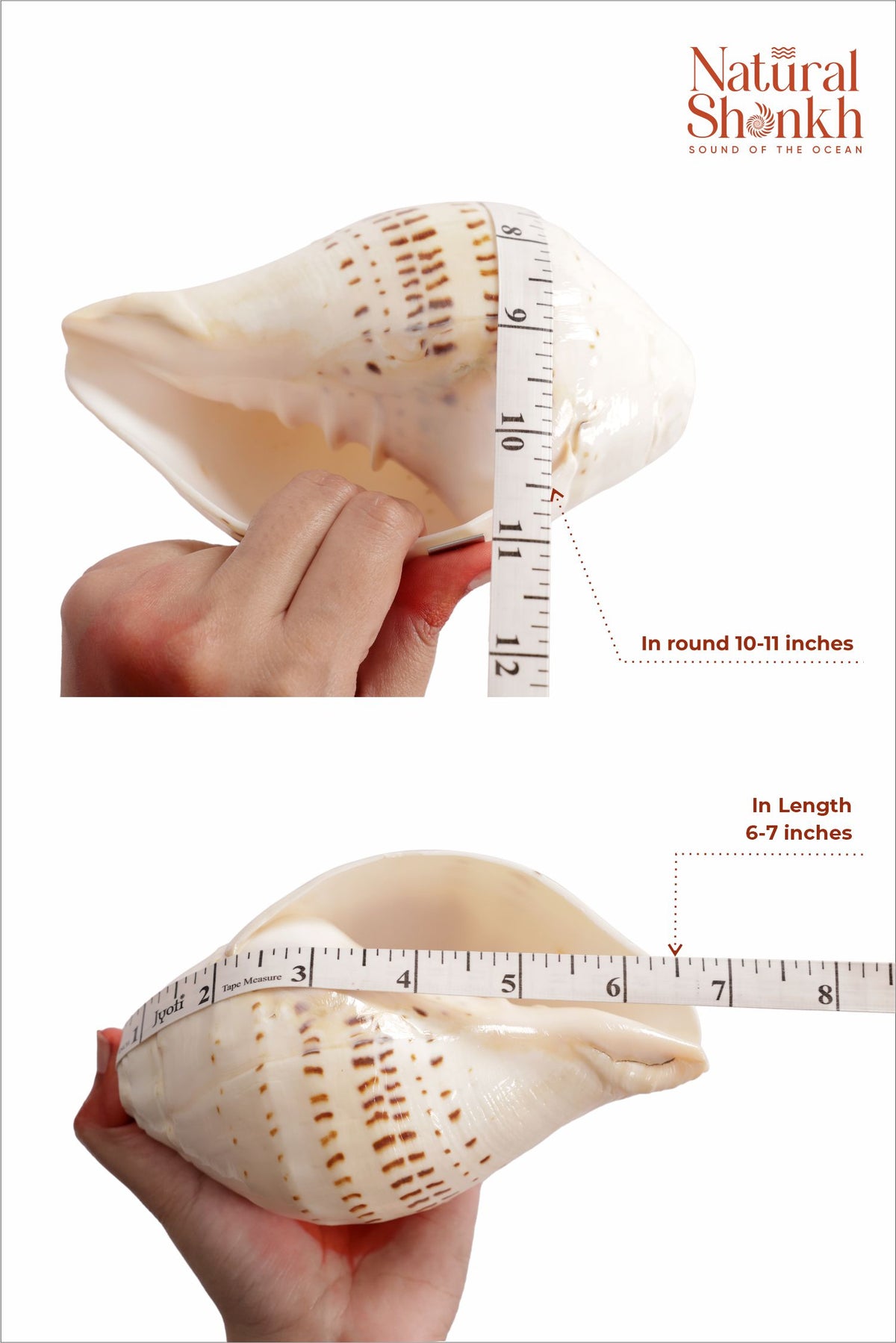 Gauri Shankh - Small Sizes