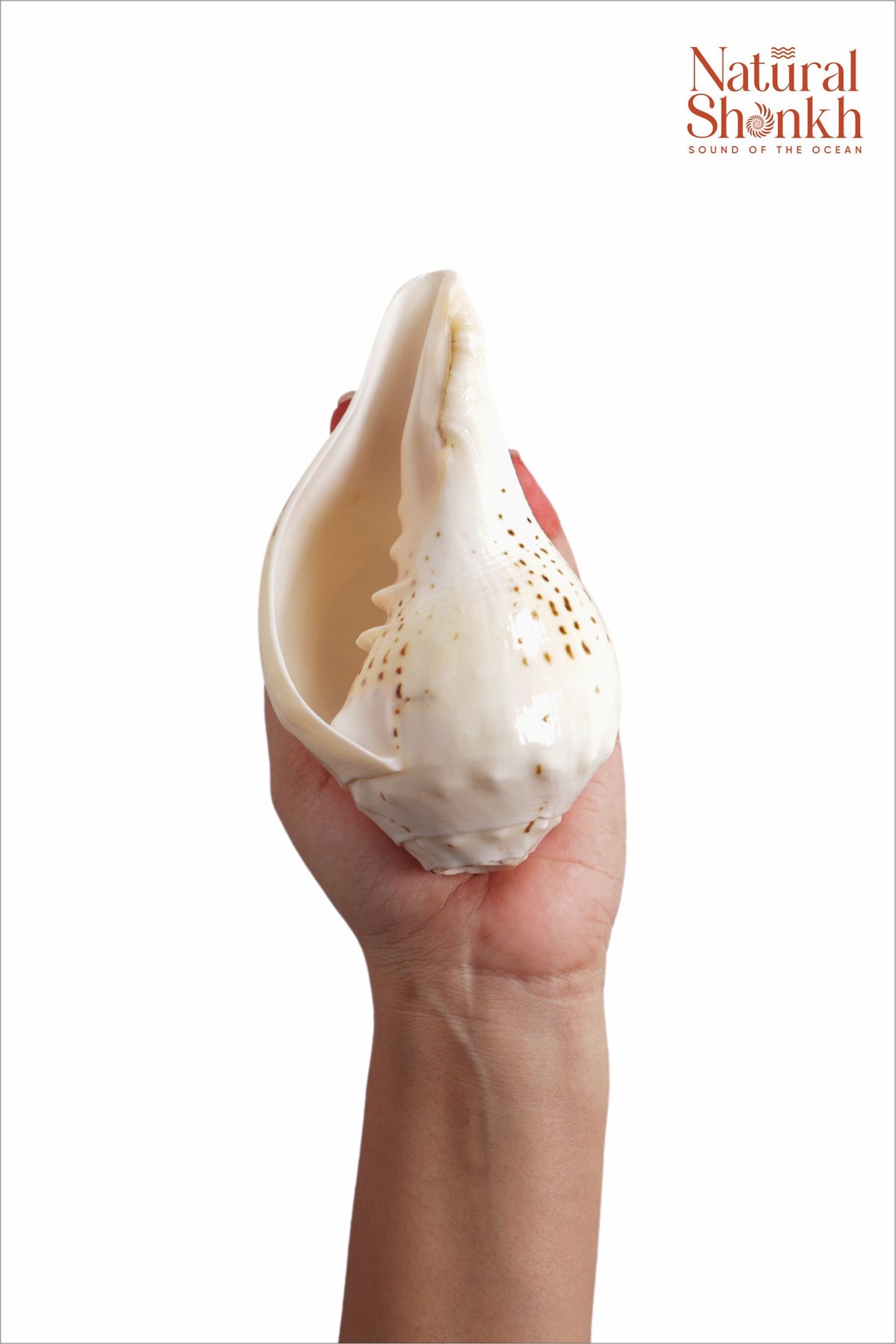 Gauri Shankh - Small Sizes