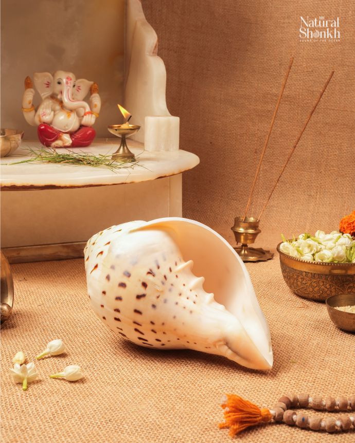 Gauri Shankh Rituals