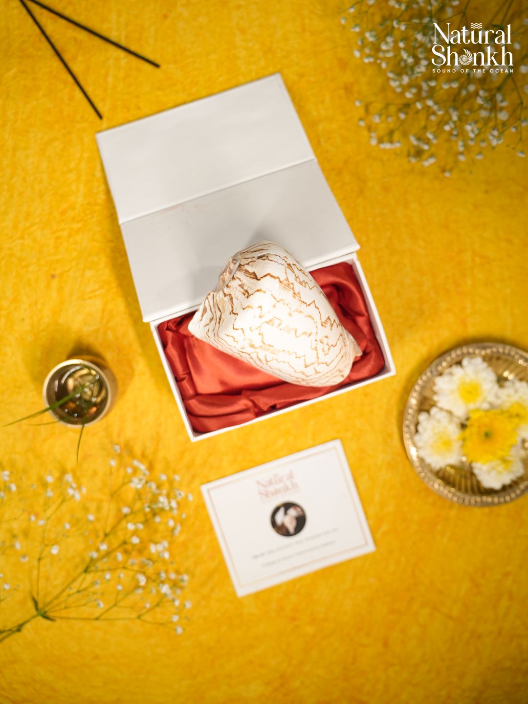 Melo Melo - Home Decor and Gifting Shell – Natural Shankh