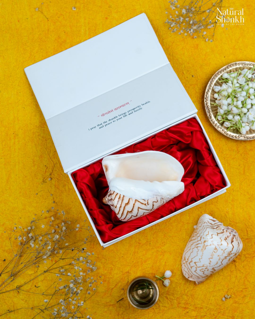 Melo Melo - Home Decor and Gifting Shell – Natural Shankh