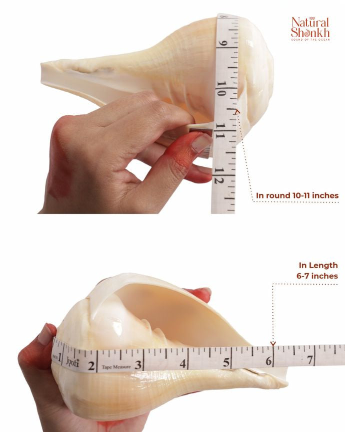 Padam 10-11 inch in hand