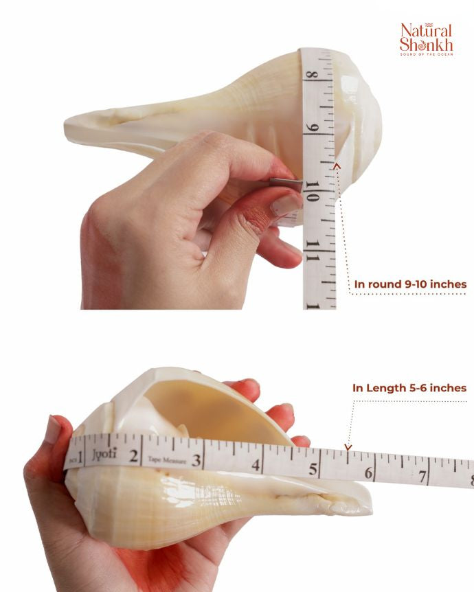 Padam 9-10 inch