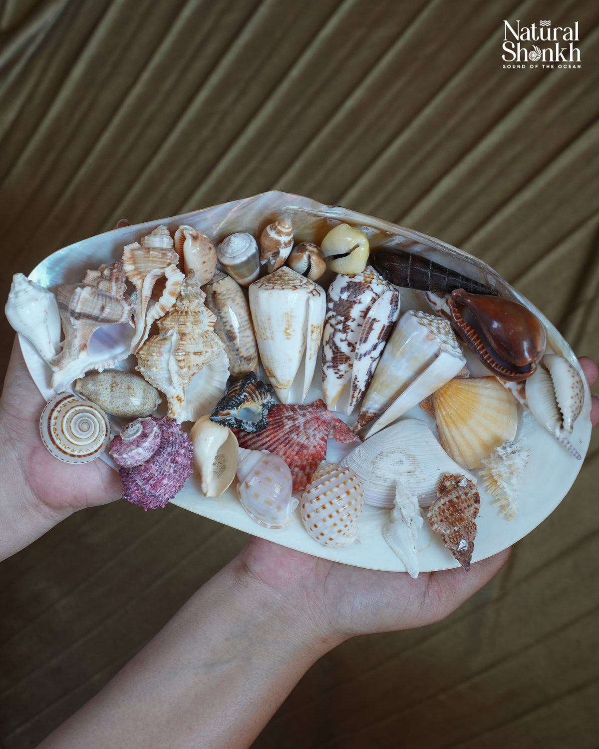 Vastu Dosha Box