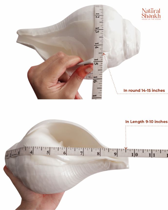 Vishnu 14-15 inch