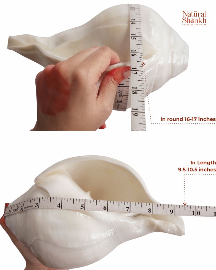 Vishnu 16-17 inch hand