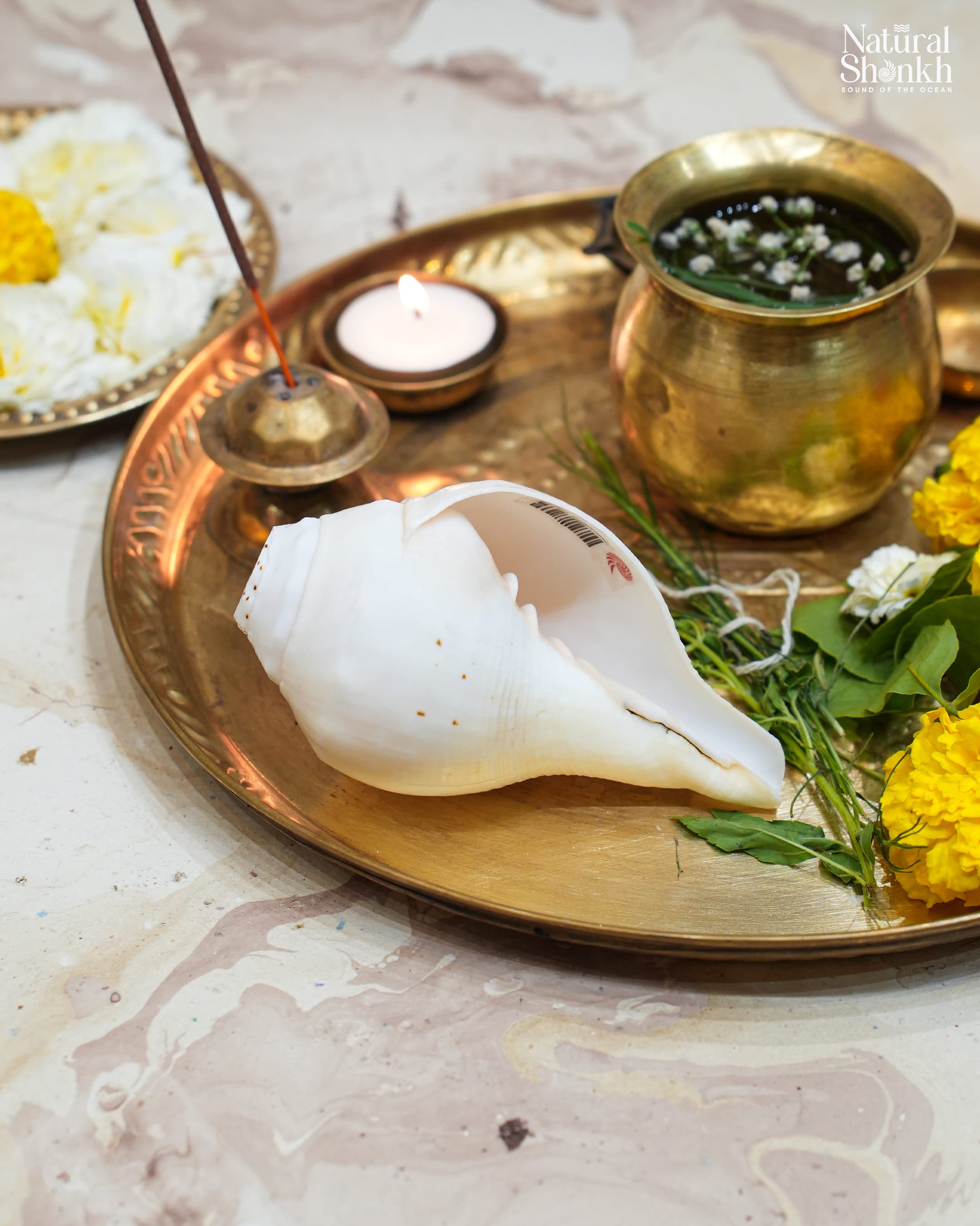 Vishnu Natural Ritual