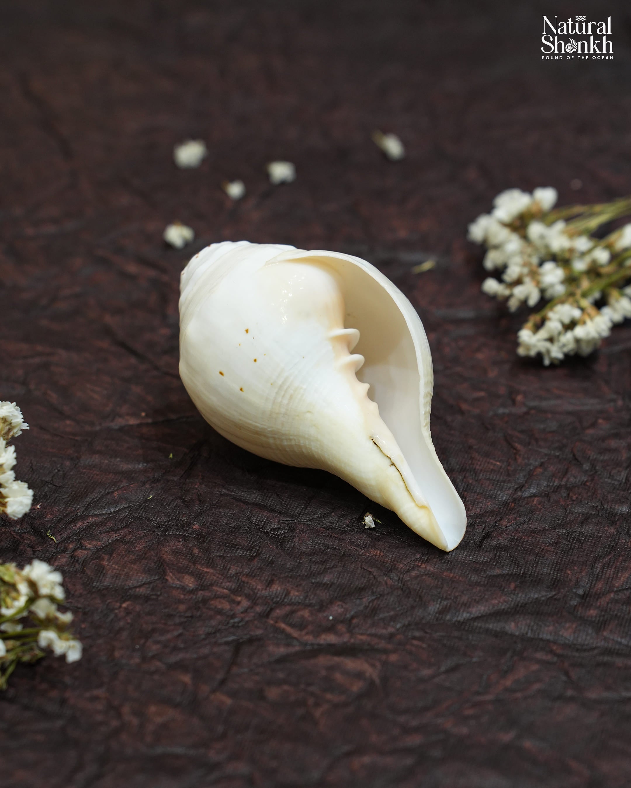 Vishnu Natural Peach Decor