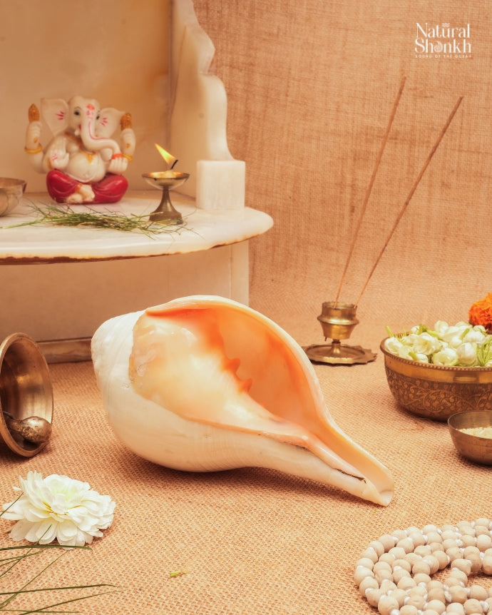 Vishnu Natural Rituals