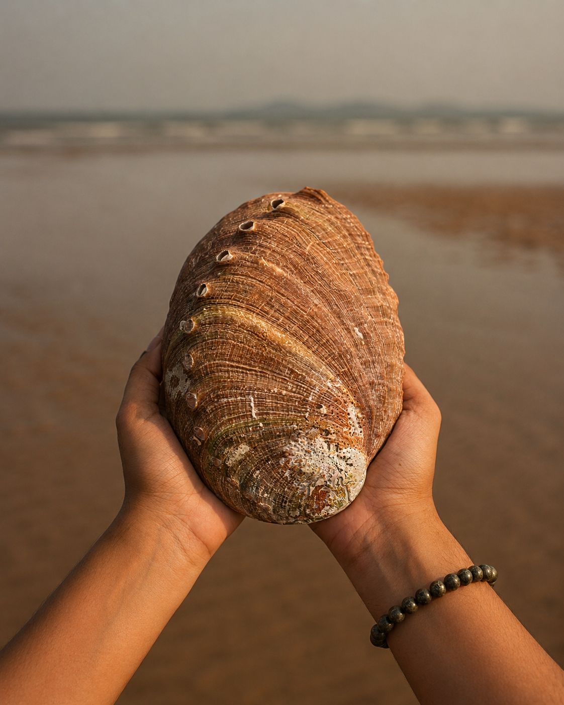 Red Abalone Seep