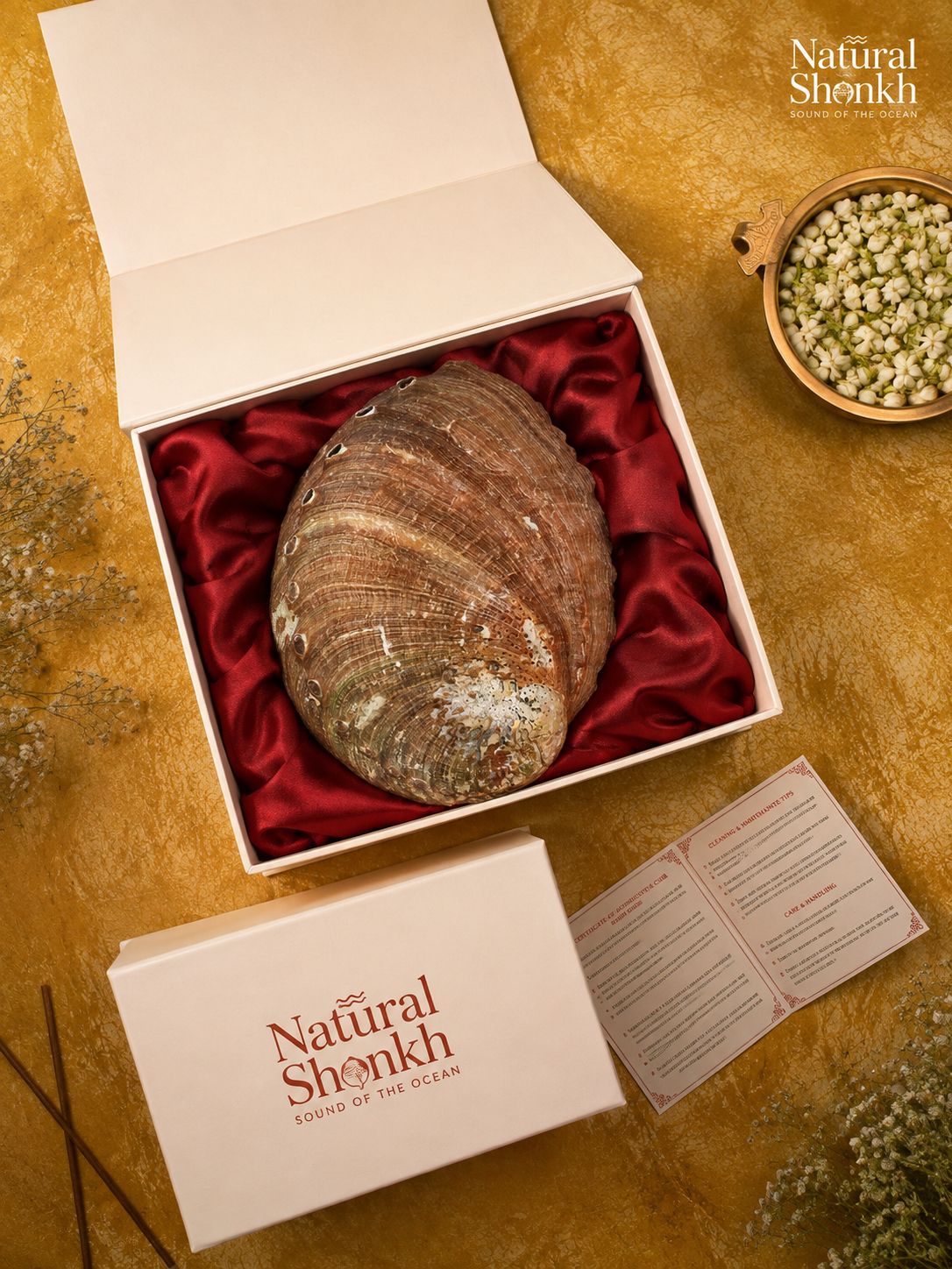 Red Abalone Seep