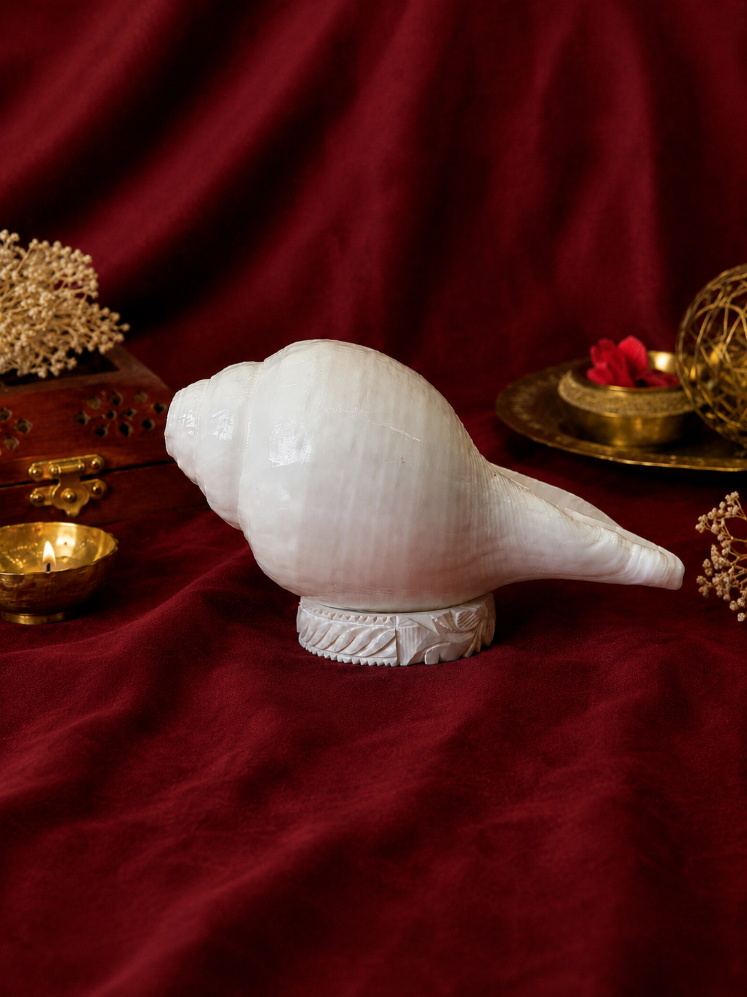 Sturdy Shankh Display Base - Made From Natural Conch (1 Pc)