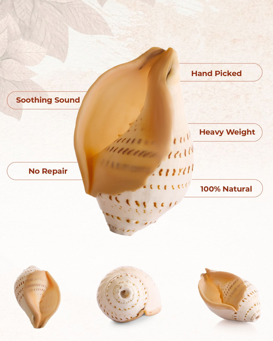 Gauri Shankh - Medium Sizes (Soothing and Loud Sound)