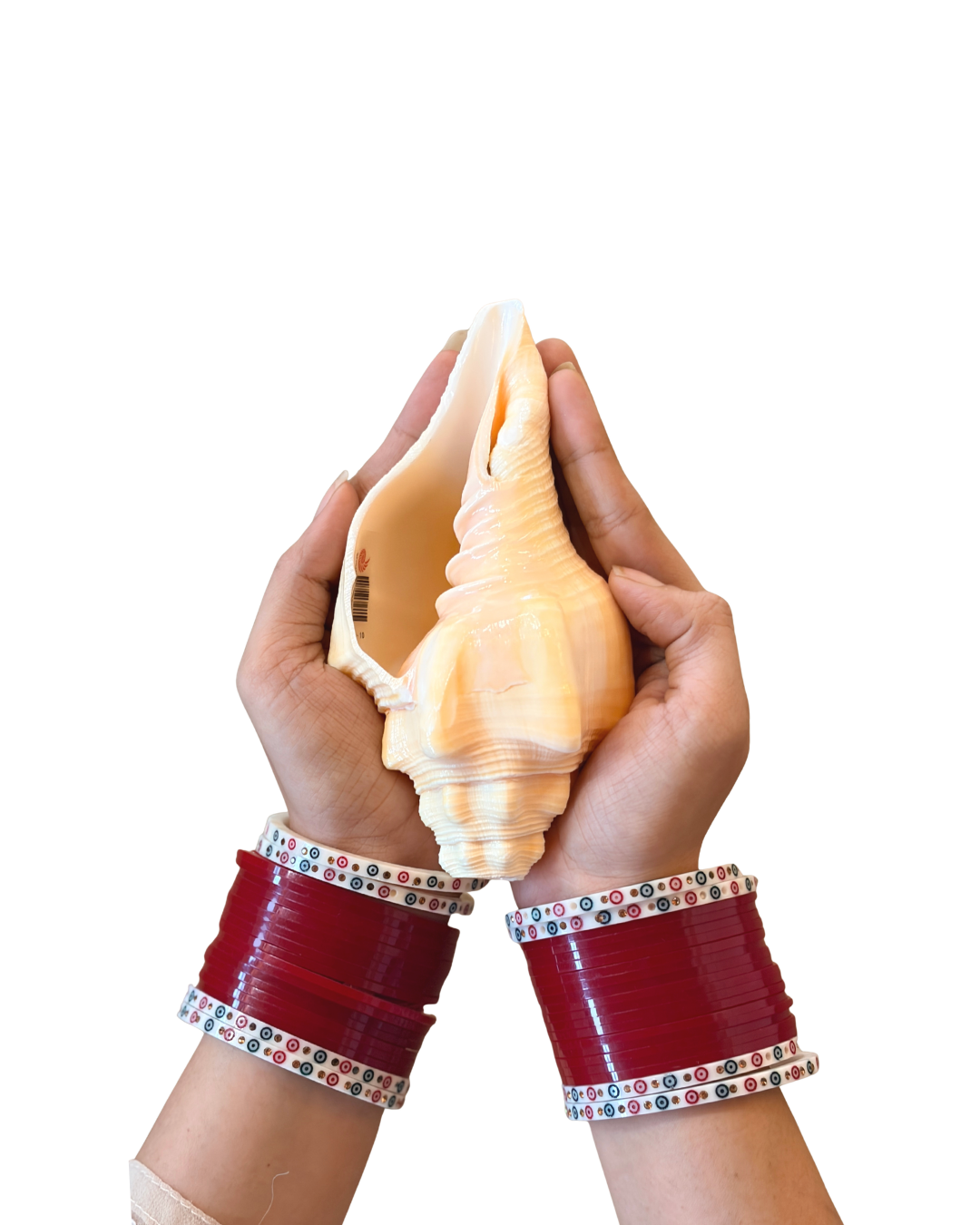 Vishnu Vahan Garuda (Dev-Dutt Shankh) - Small Sizes (Sharp and Loud Sound)