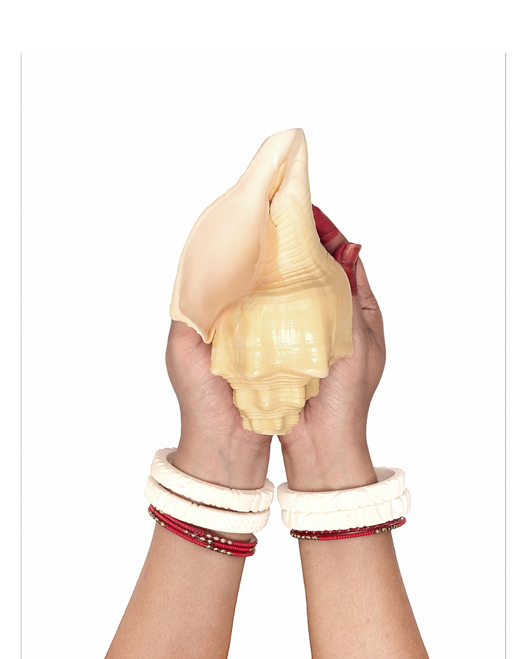 Vishnu Vahan Garuda (Dev-Dutt Shankh) - Medium Sizes (Loud and Resonant Sound)