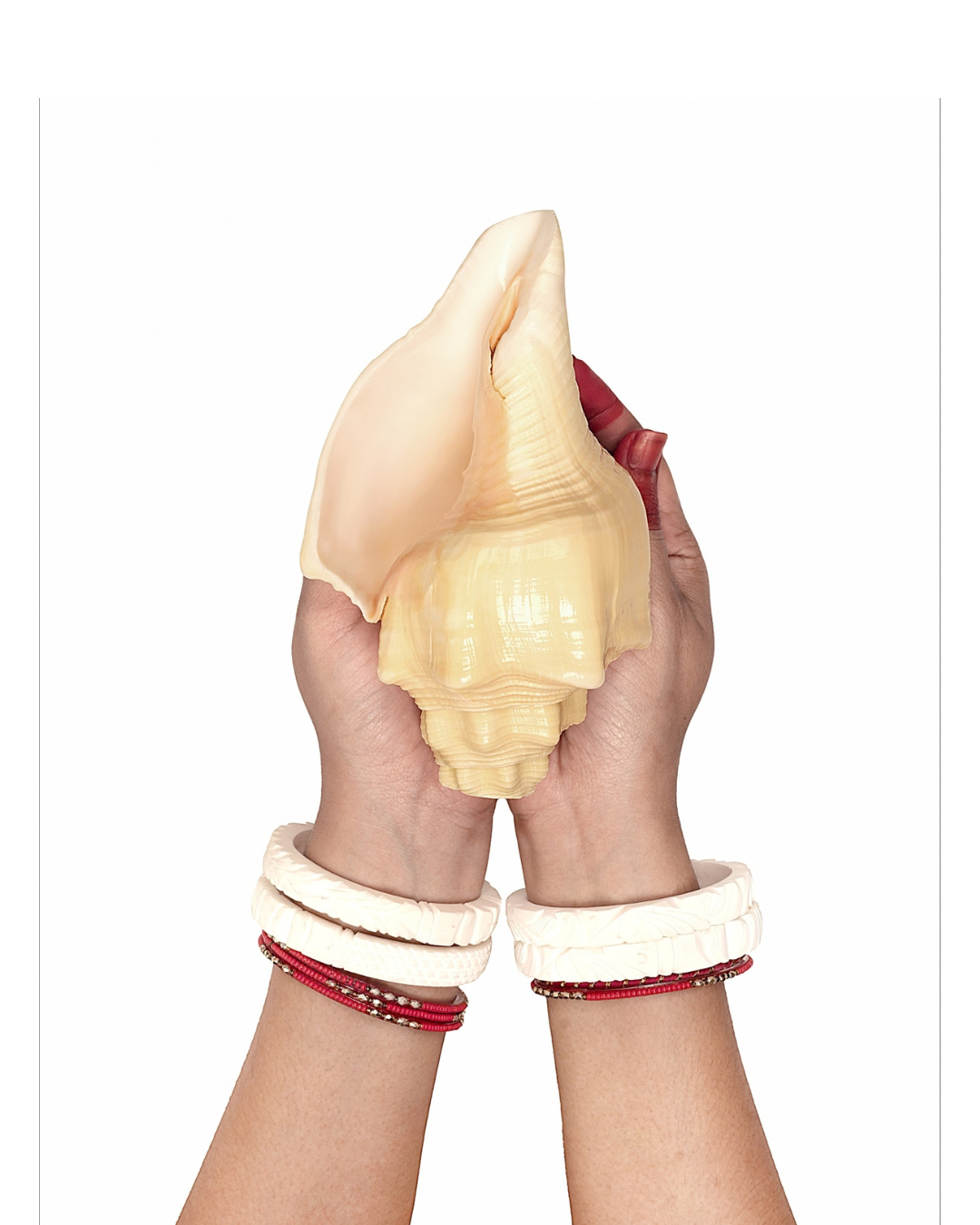 Vishnu Vahan Garuda (Dev-Dutt Shankh) - Medium Sizes (Loud and Resonant Sound)