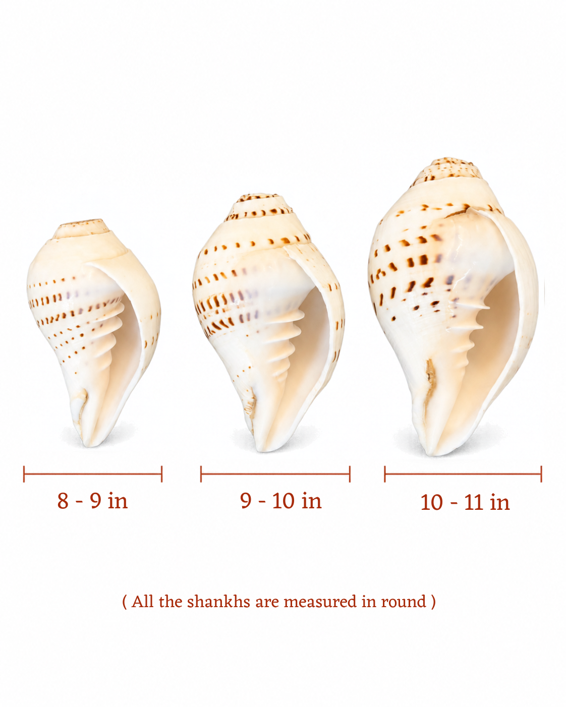 Gauri Shankh - Small Sizes