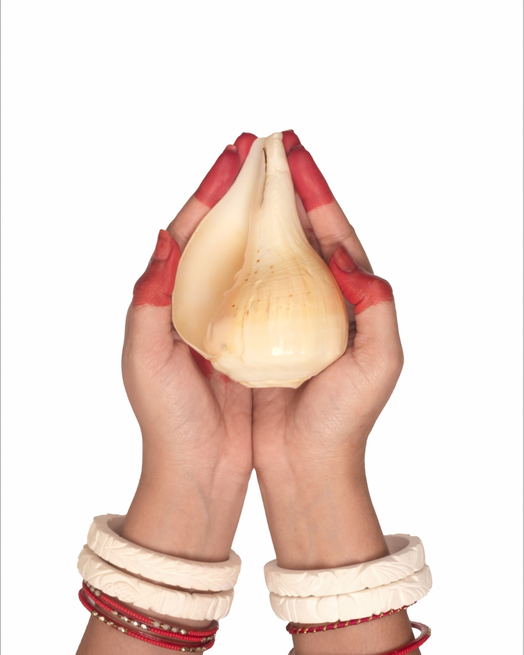 Natural Padam Shankh - Small Sizes (Sharp and Loud Sound)