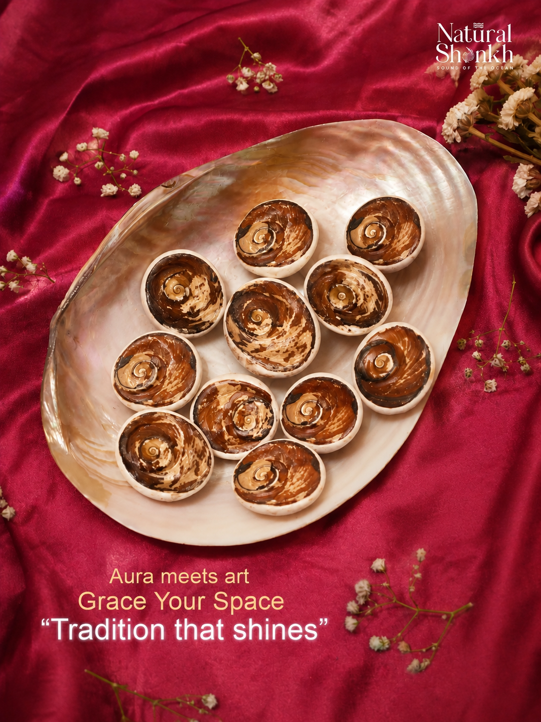 Rare Gomti Chakra Set (11 Pcs) - For Balance and Harmony