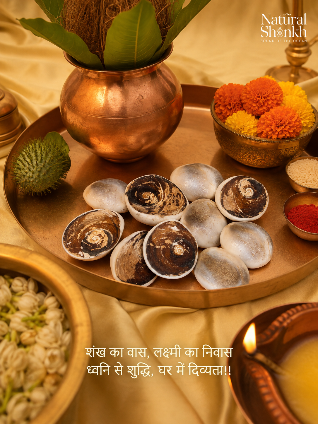 Rare Gomti Chakra Set (11 Pcs) - For Balance and Harmony