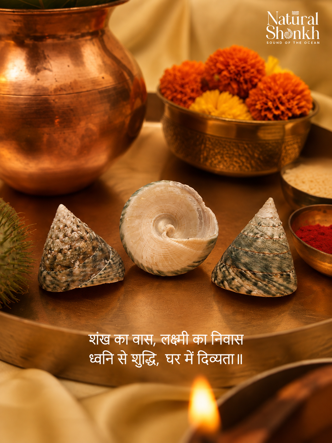 Sumeru Moti Shankh