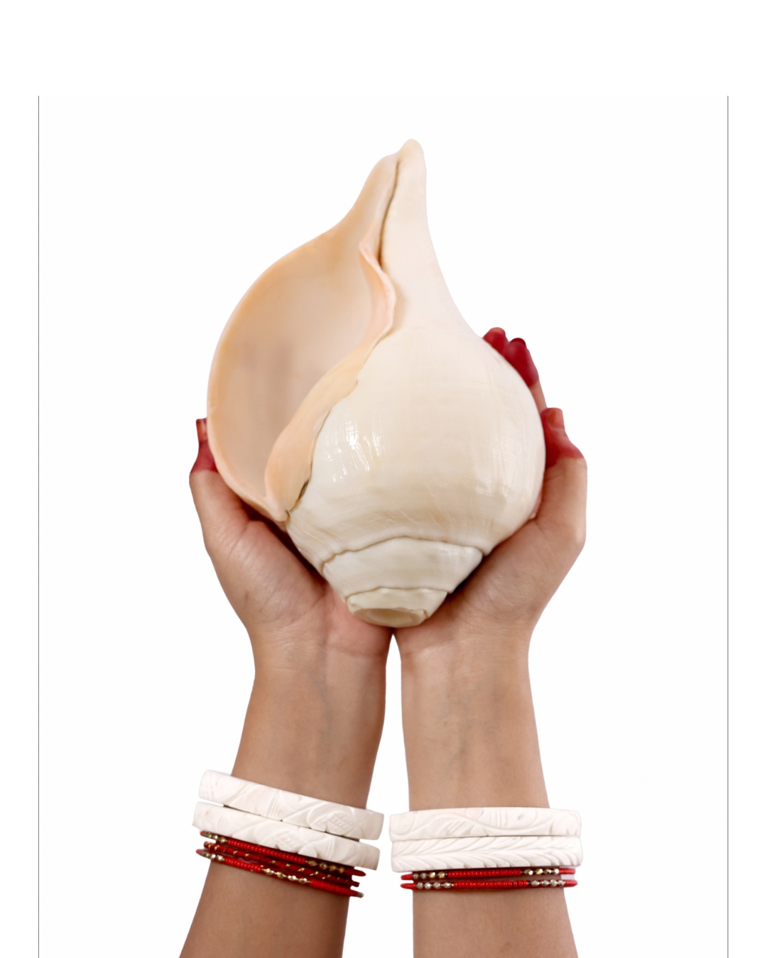 Vishnu Shankh (Natural Peach) - Large Sizes (Vibrating "Om" Sound)