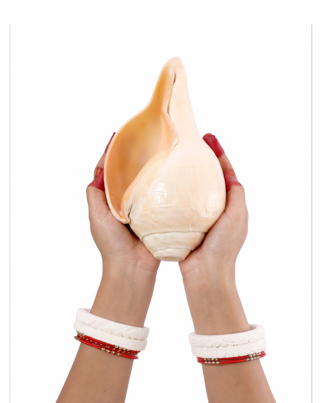 Vishnu Shankh (Natural Peach) - Large Sizes (Vibrating "Om" Sound)