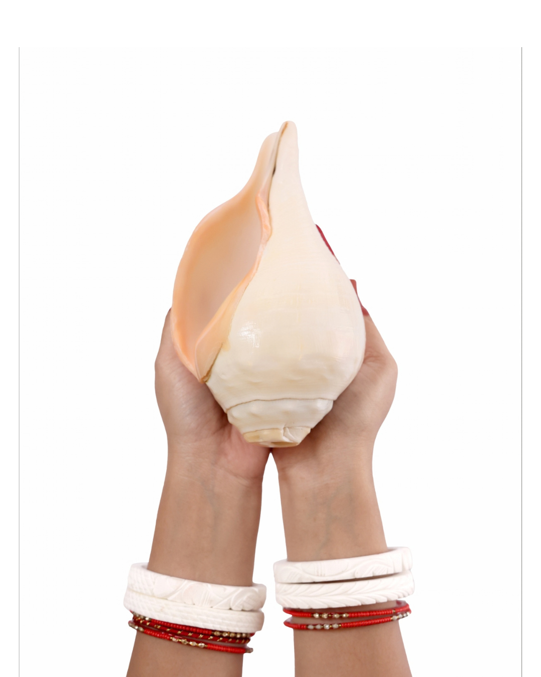 Vishnu Shankh (Natural Peach) - Medium Sizes (Soothing and Loud Sound)