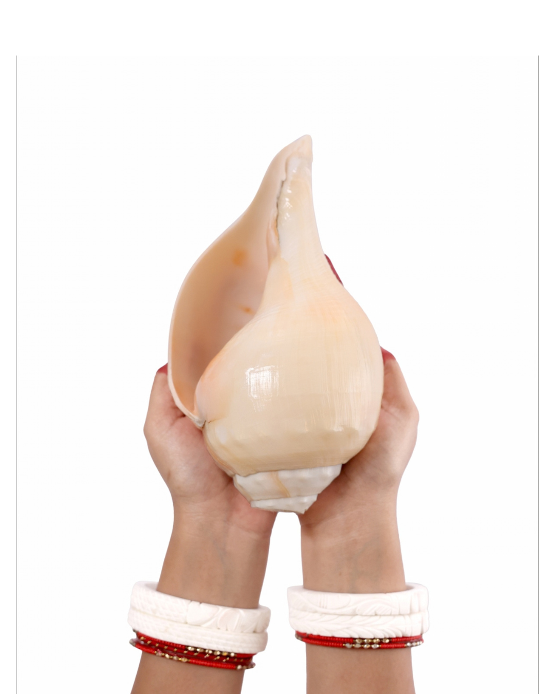 Vishnu Shankh (Natural Peach) - Medium Sizes (Soothing and Loud Sound)