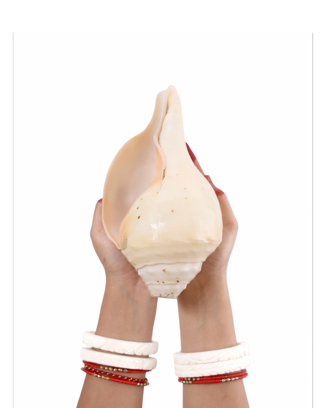 Vishnu Shankh (Natural Peach) - Medium Sizes (Soothing and Loud Sound)