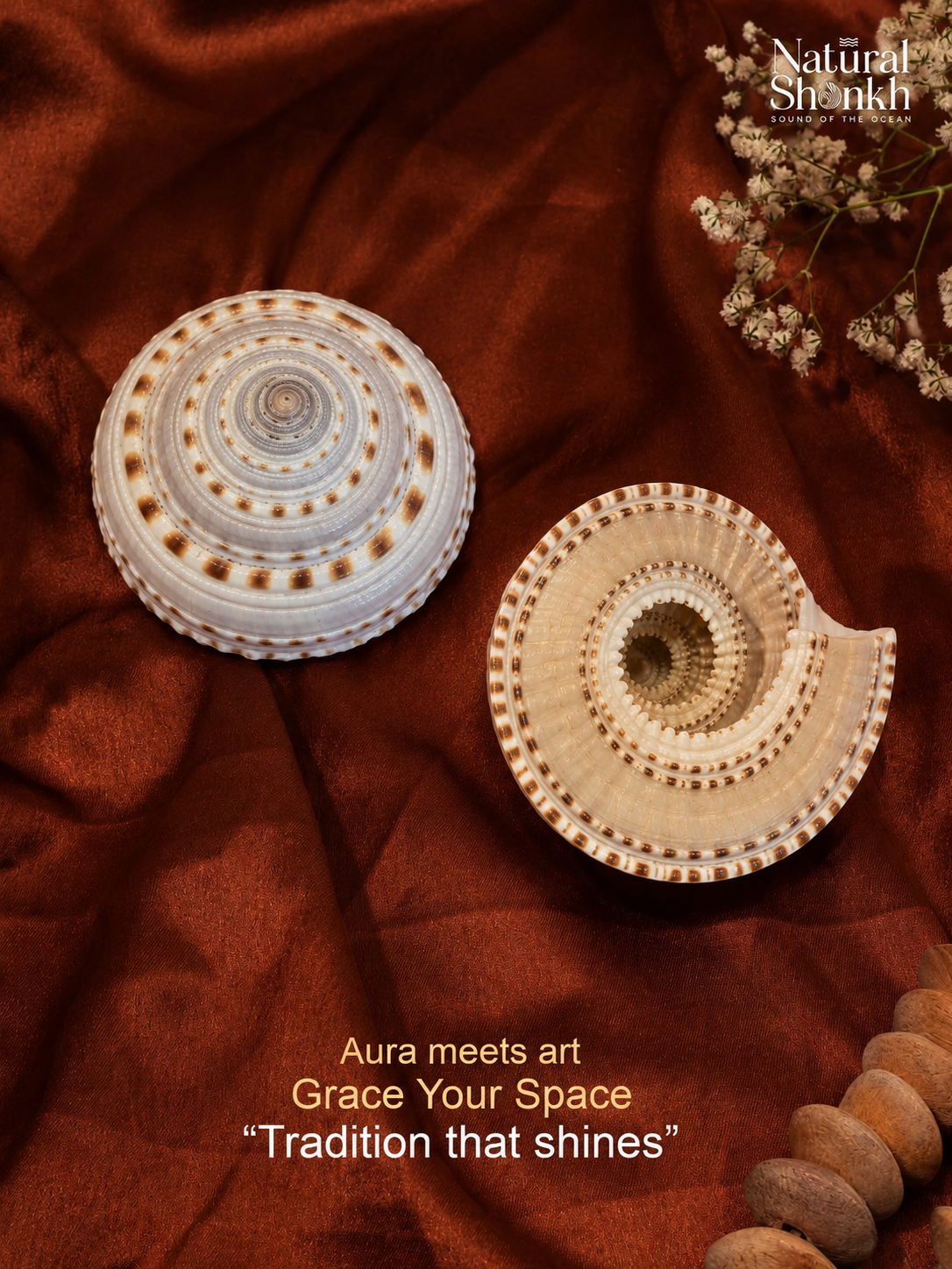 Vishnu Chakra Pair – For Protection & Prosperity
