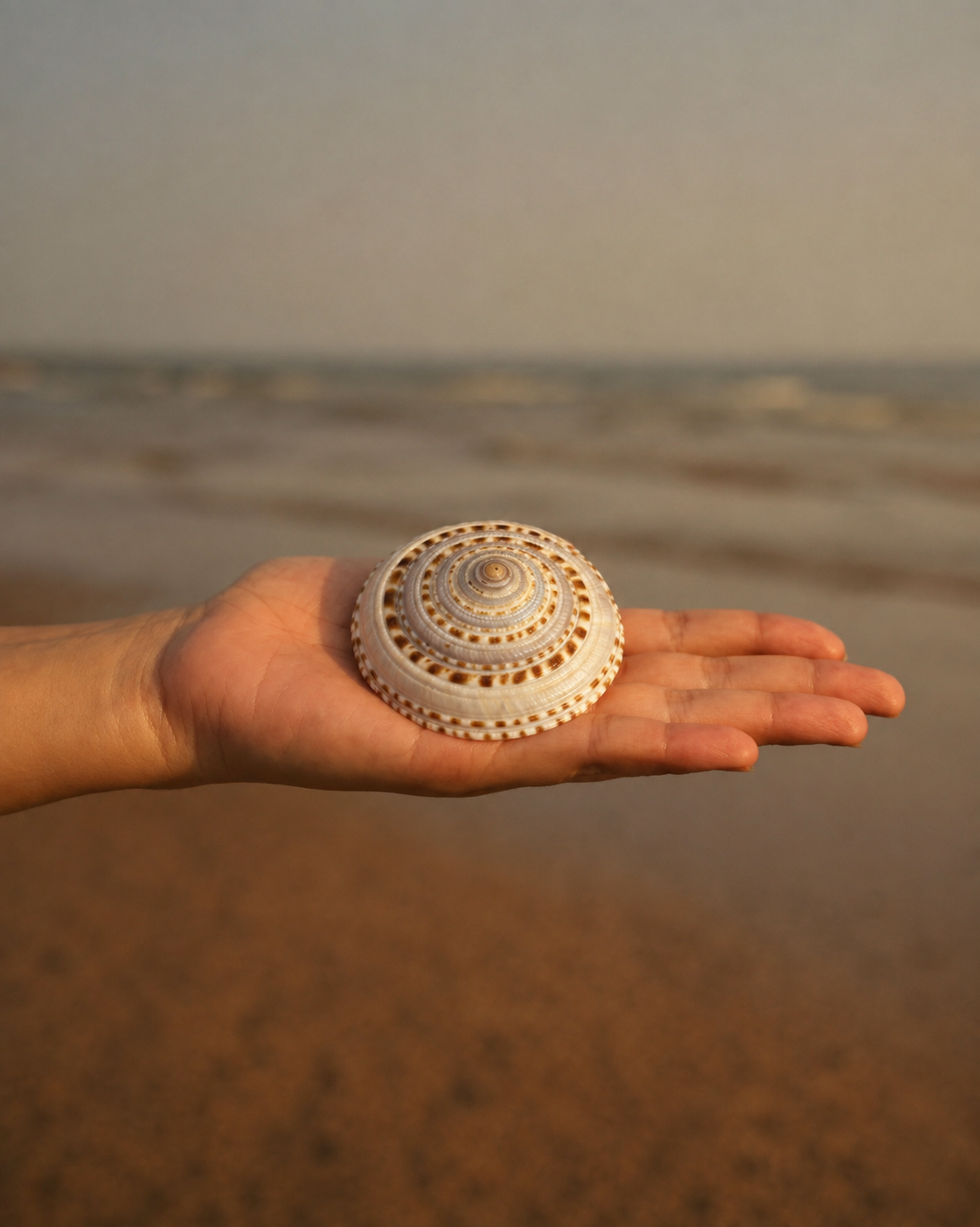 Vishnu Chakra Pair – For Protection & Prosperity