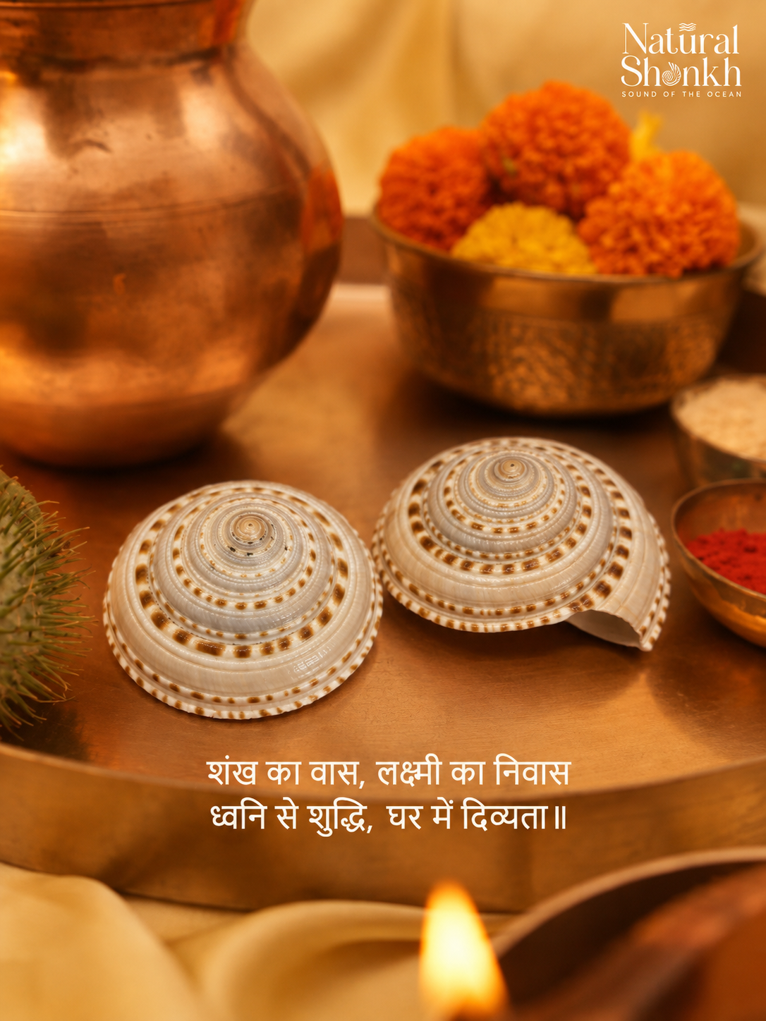 Vishnu Chakra Pair – For Protection & Prosperity